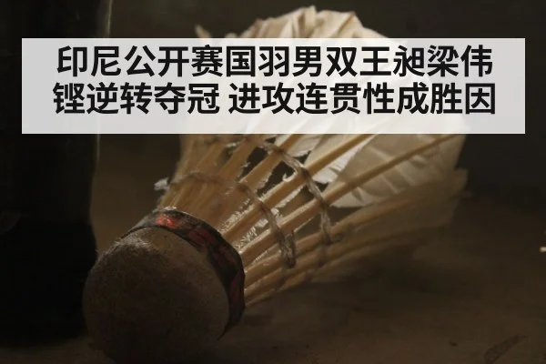 印尼公开赛国羽男双王昶梁伟铿逆转夺冠 进攻连贯性成胜因